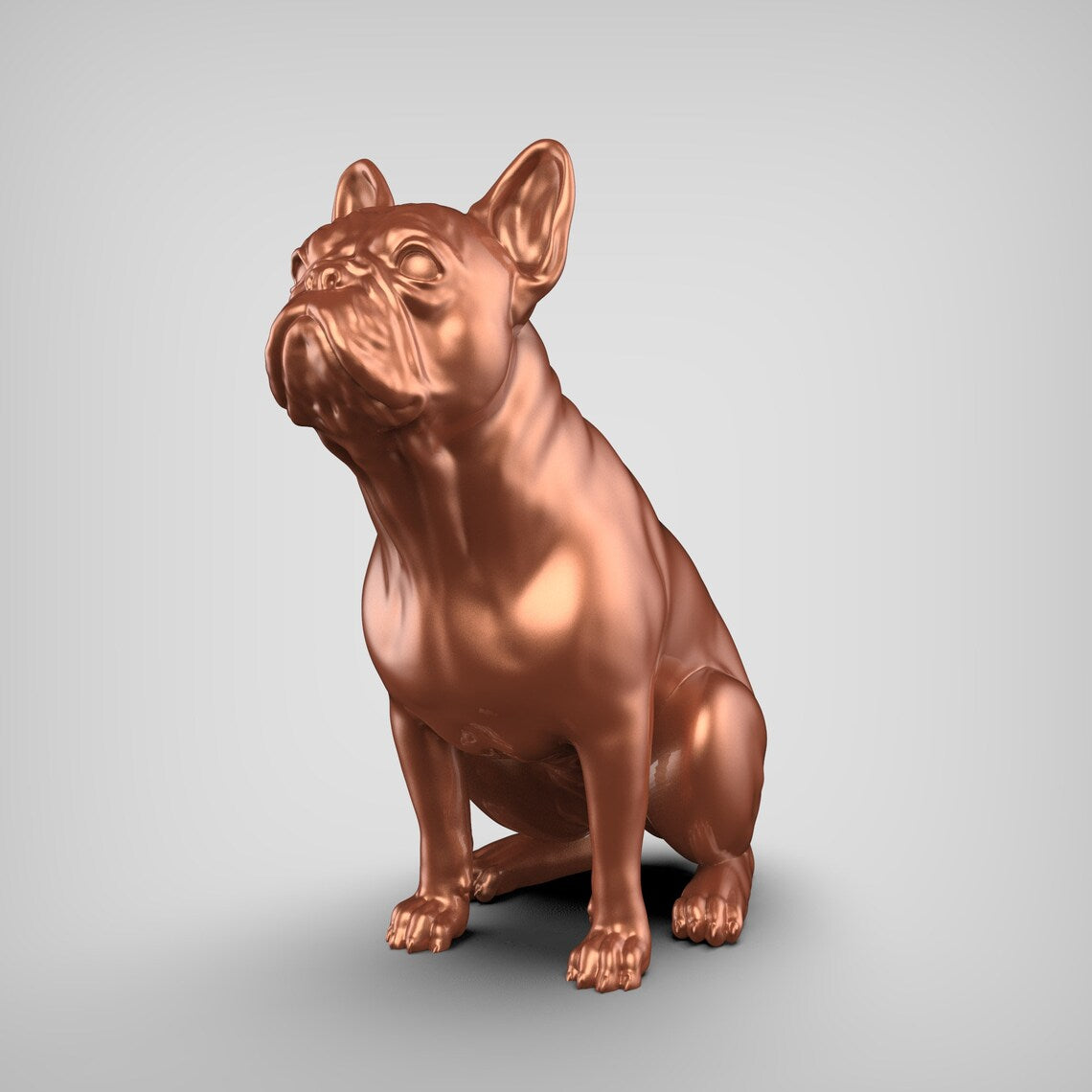 Französische Bulldogge